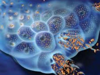 cancer virus