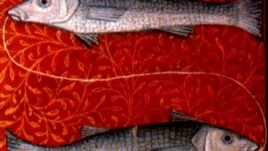 songngu