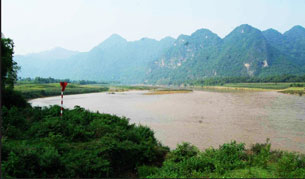 traithanhcam songma
