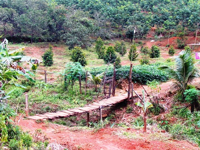 Cau-treo