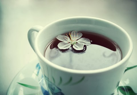 Flower Tea by MMDArk