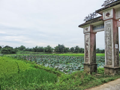 aoho muahe