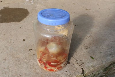 nguoimuong thucan