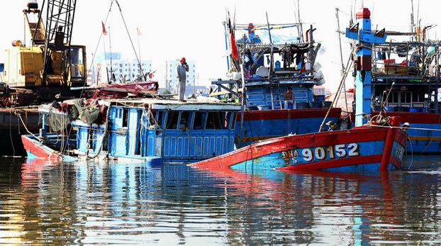tauca vn 10