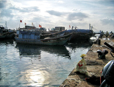 tauca vn 11