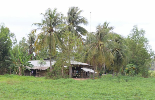 tayninh 1