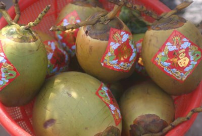 tet mamqua