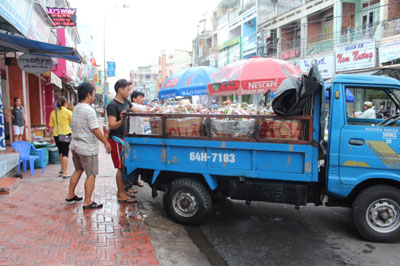vinhlong traicay 2