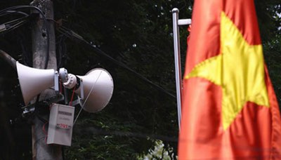 loaphongthanh 2