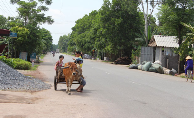 thanhhoa thohang