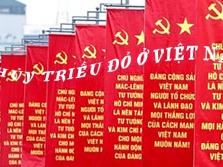 moitruong 6