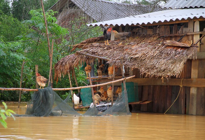 Lu-lut-Ha-tinh-Quang-Binh-12