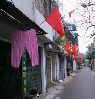 Treo-co-Dai-Hoi-12