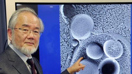 nobel-prize-medicine