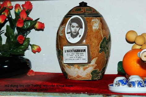 dicot Nguyenkhoanam