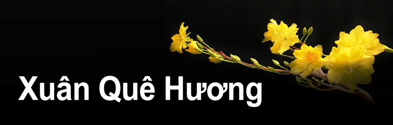xuan que huong