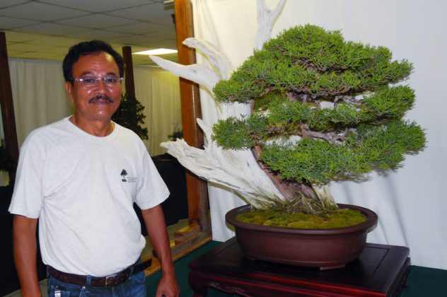 bonsai caykieng 2
