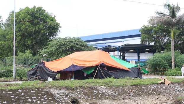 haiduong cangleu