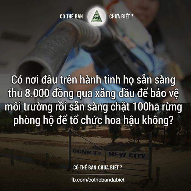 ban-co-biet