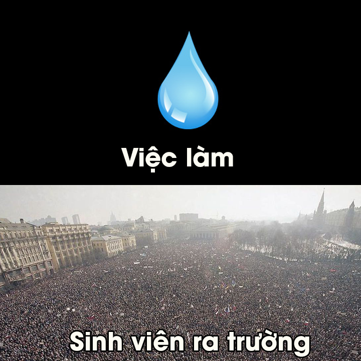 viec-lam-o-VN