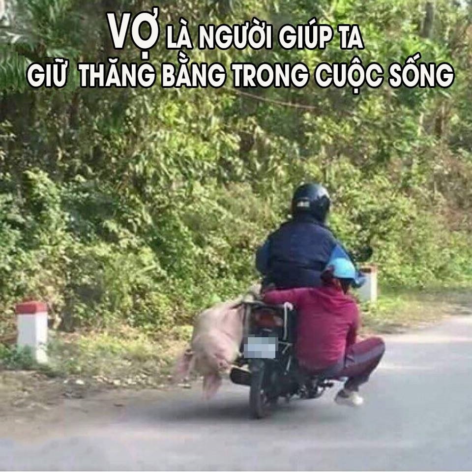 vo-giup-ta-thang-bang
