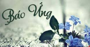 qua bao