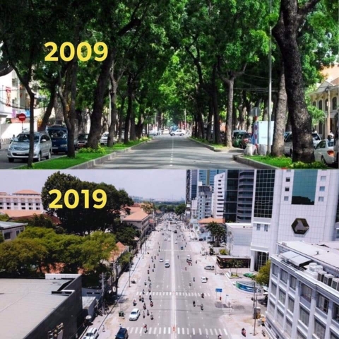 duong 2019