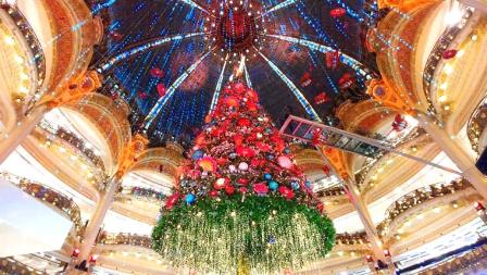 Sapin best