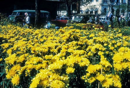cho hoa nguyen hue sai gon