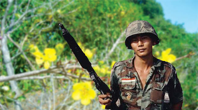 mh-nho-xuan-nam-nao