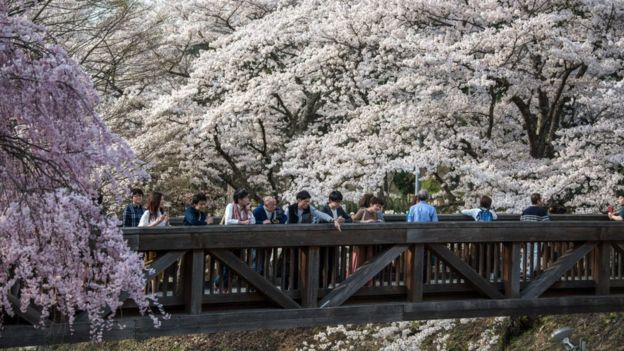 Japan tuoidep