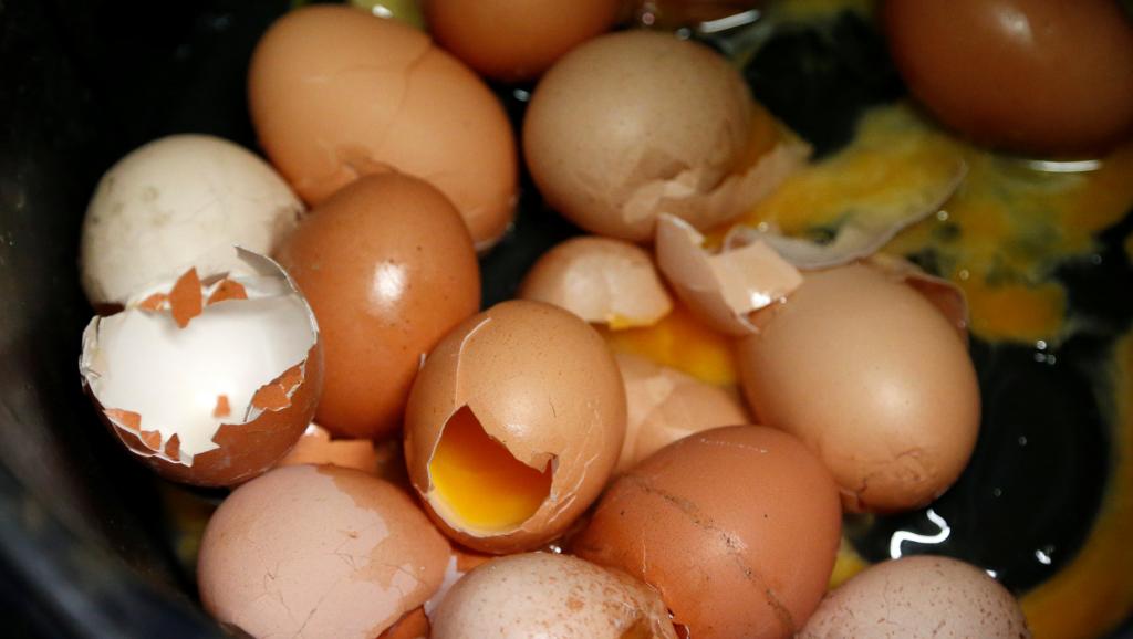europe-eggs 5
