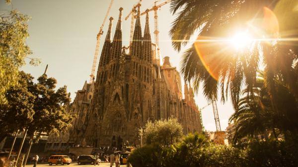 Sagrada Familia VCTĐ