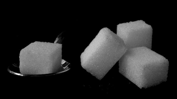Sugarcubes vangtrang