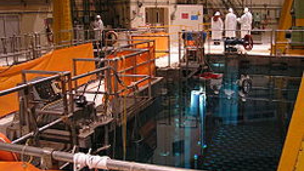 apiscine nucleaireok