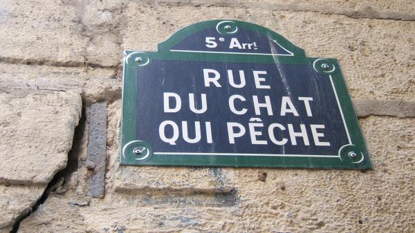 chat-qui-peche plaque