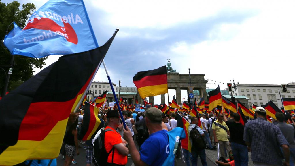 germany-protest-afd