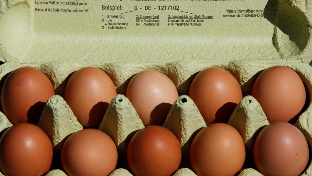 netherlands-germany-eggs