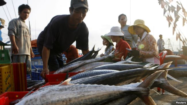 nhatrang - ban ca