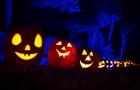 Haloween Jack O' Lantern